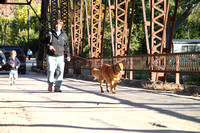 2014_1108 Butch Cassidy 10K / 5K Run at the Bridge by Filly of the Doggy Dude Ranch