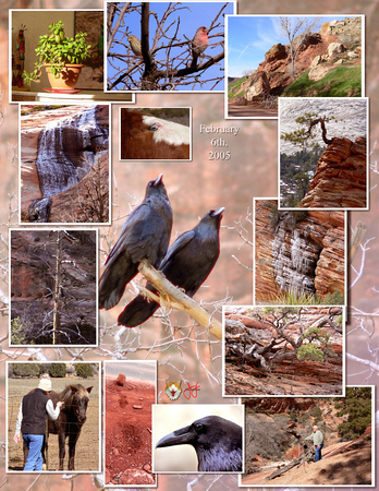Bird Park Collage.jpg