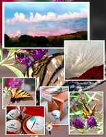 Beautiful Things Collage.jpg
