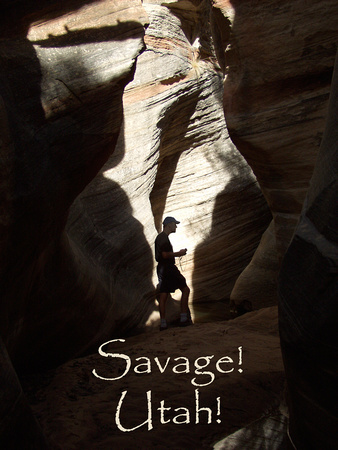 Savage Utah Shadow only.jpg