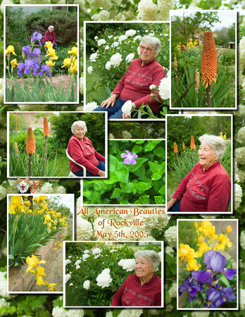 Vilo and Flowers Collage.jpg