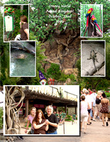 2006_1006 Disney World Trip!