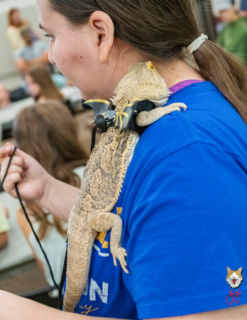 Campbell James at Springale Reptile Class 17