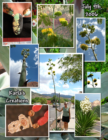 Karlas Plants.jpg