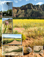Flowers Windmill Snake collage.jpg