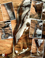Waterfall collage.jpg