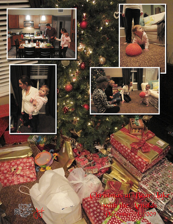 Christmas with the Arnolds 2009 01.jpg