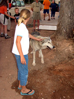 2002_0821 Kathy's Sundancer Wolfstock