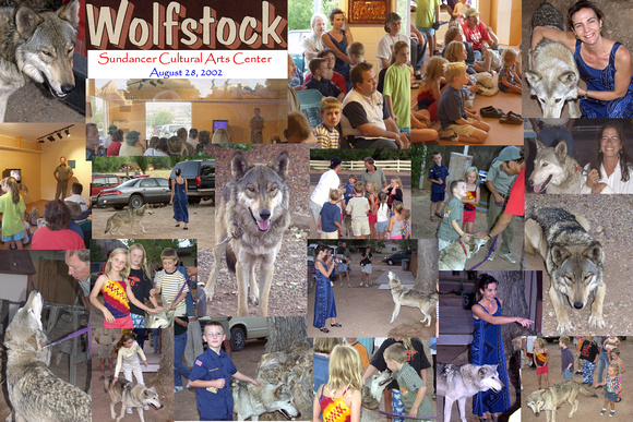 Wolfstock 5.jpg