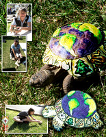 Earth Day 03 Turtle with Map.jpg