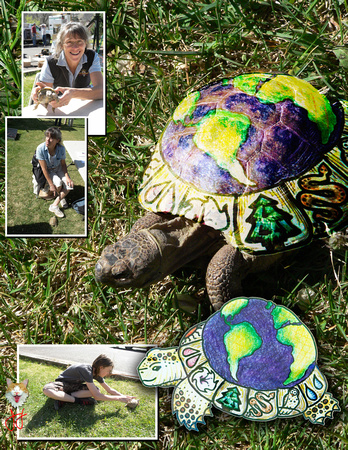 Earth Day 03 Turtle with Map.jpg