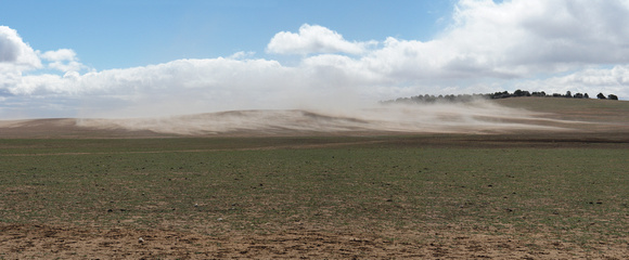 Zion Dust Storm 1.jpg