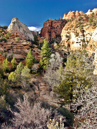 P3140896 watercolor 2nd canyon on top.jpg