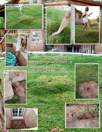 Lawn Blister collage.jpg