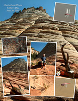 Checkerboard Mesa Collage.jpg