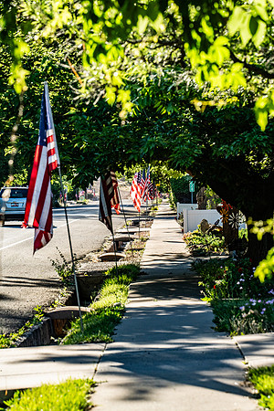 17 Flags under tree in shadows