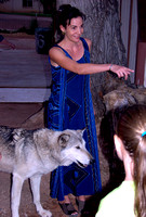 2002_0821 Kathy's Sundancer Wolfstock